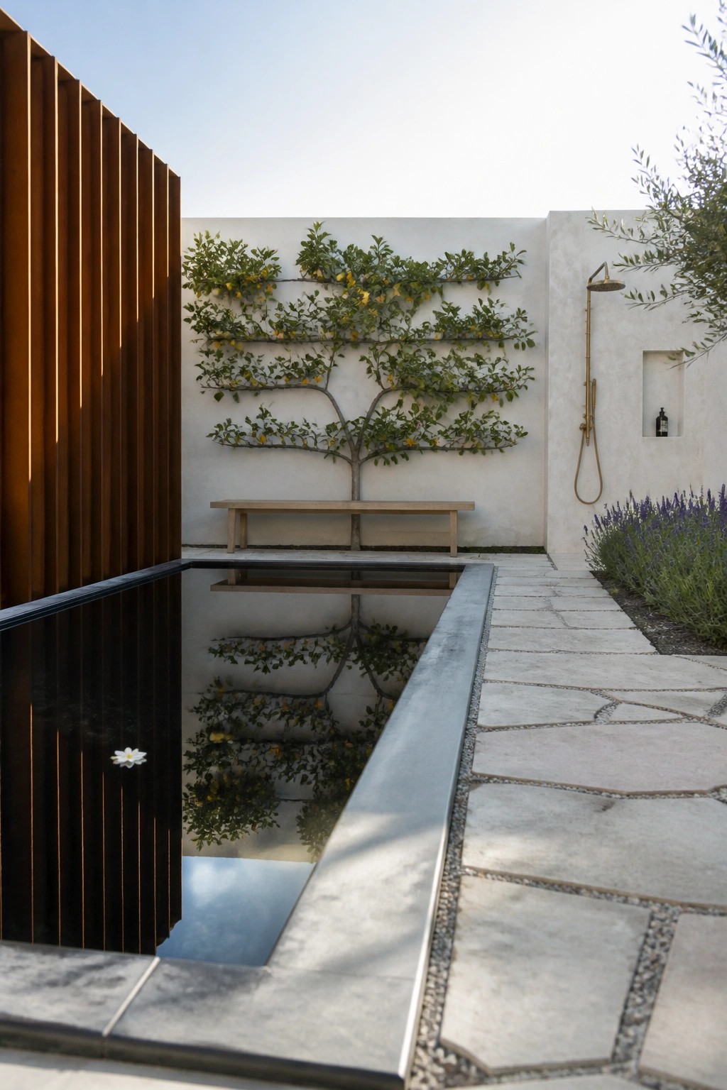 A rectangular pool reflects an espaliered citrus tree on a white wall, with a wooden bench below the tree, a stone path, and an outdoor shower on the right.