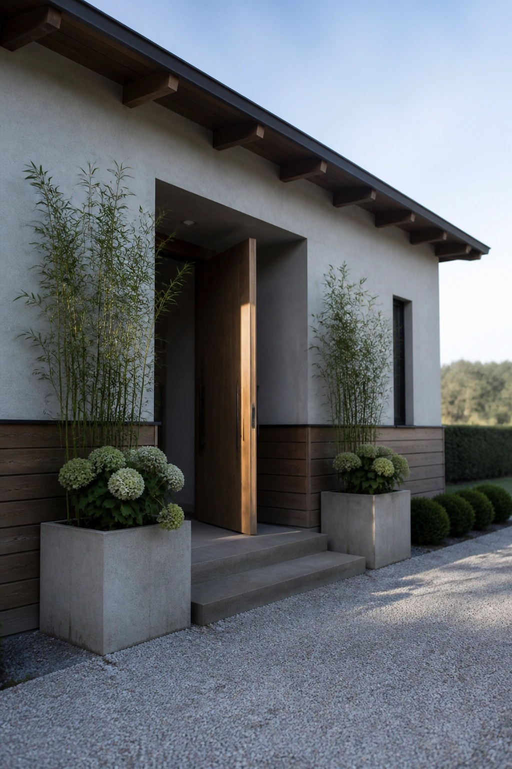 A modern house entrance with an open wooden door, concrete steps, and large square planters holding tall green plants and white flowers on a gravel path.