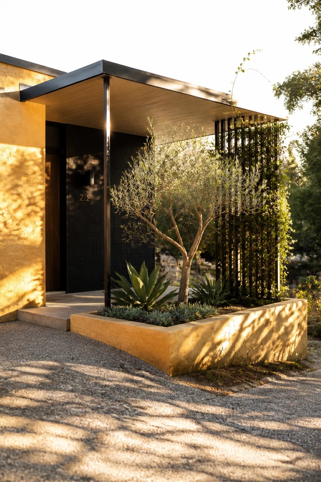 A modern house entrance features a flat roof overhang, black door numbered 218, yellow stucco walls, and a raised concrete planter with an olive tree and succulents next to a gravel path.